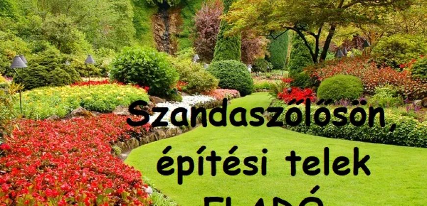 Építési telek Szandaszőlősön
